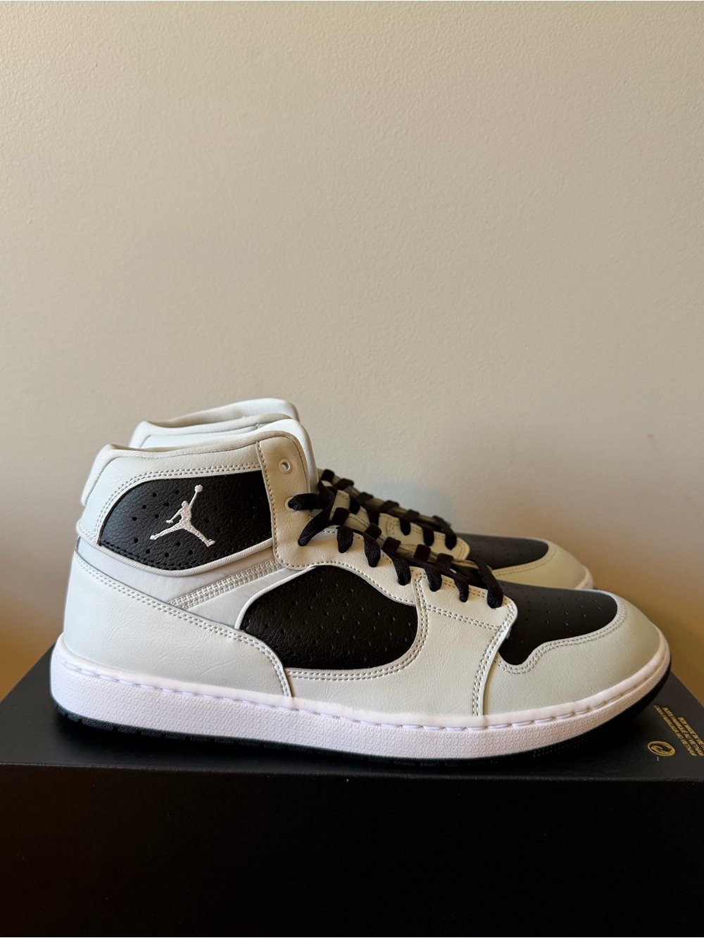 Air Jordan Access Photon Grey AR3762-010 Men’s Size 13